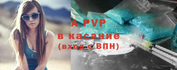 стаф Абаза