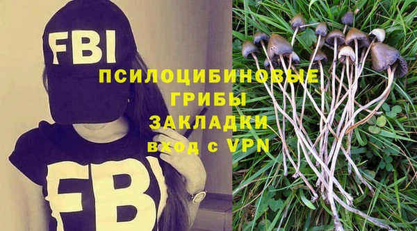 бошки Покровск